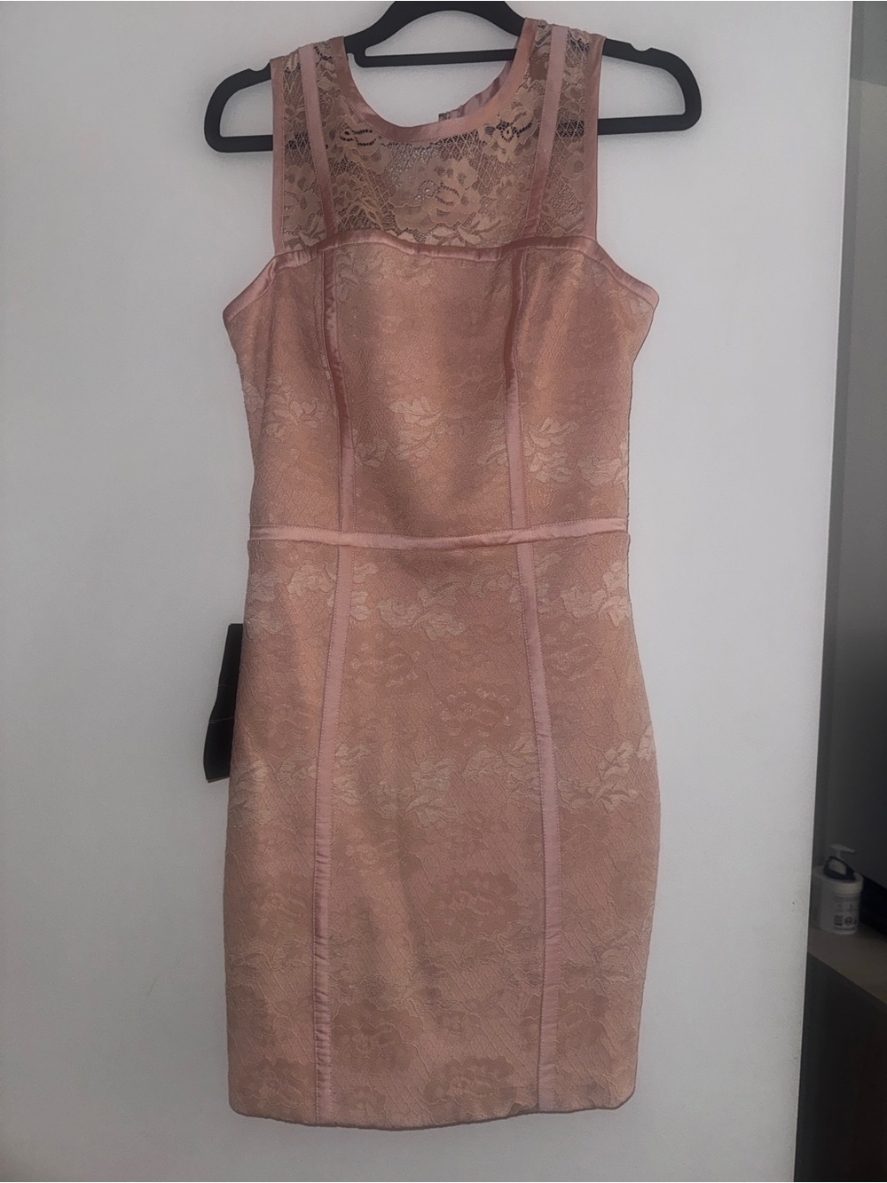 Bebe bodycon Sleeveless Lace Sheath Dress in Blush Pink